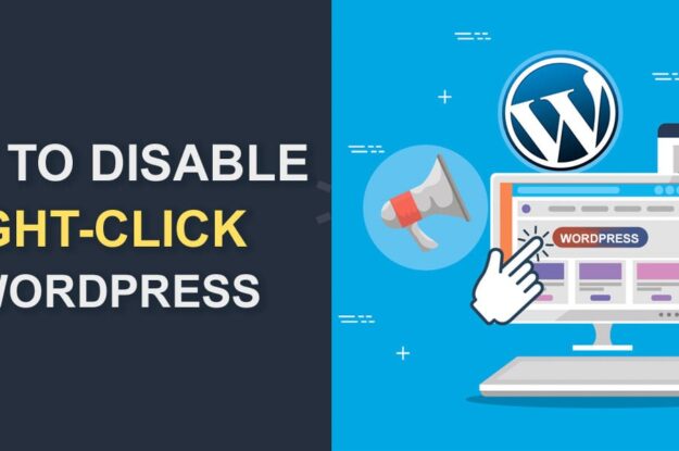 How to Disable Right Click on Images in WordPress?