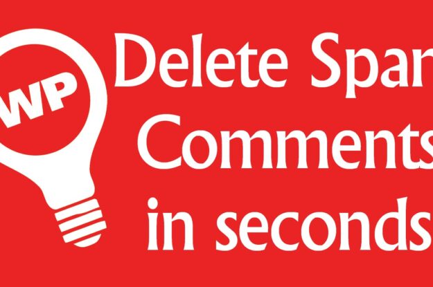 How to bulk delete spam comments in your WordPress website?